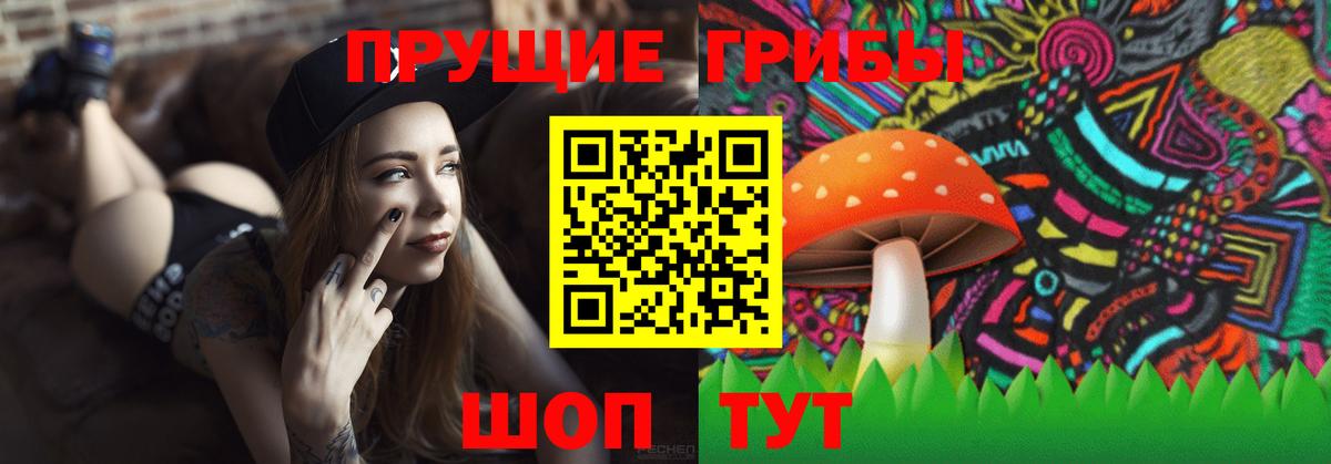Псилоцибиновые грибы Psilocybe  Вход с VPN  Новоуральск 